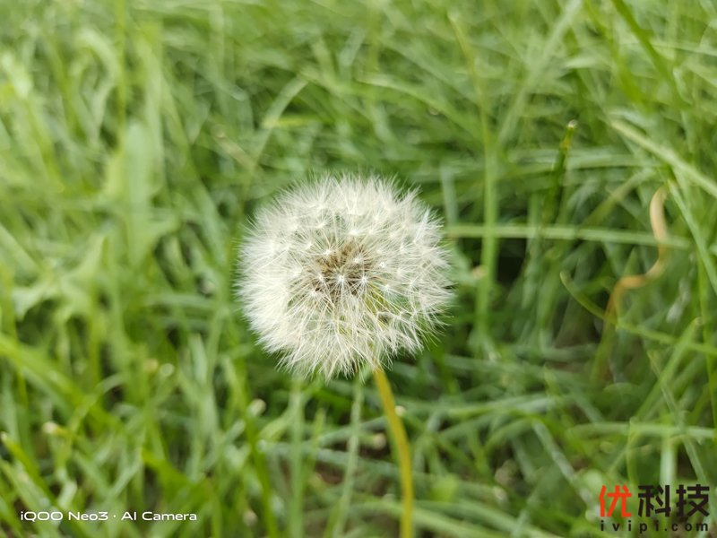 生而为赢 青年旗舰 iQOO Neo3优科技体验评测