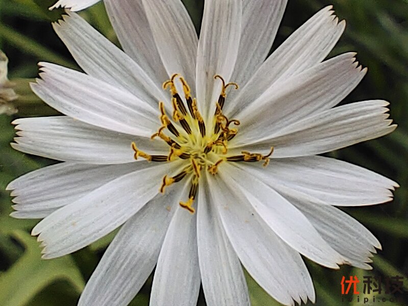 生而为赢 青年旗舰 iQOO Neo3优科技体验评测