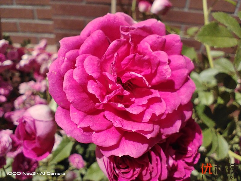 生而为赢 青年旗舰 iQOO Neo3优科技体验评测