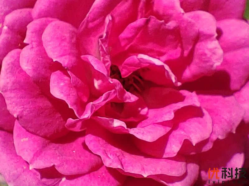 生而为赢 青年旗舰 iQOO Neo3优科技体验评测