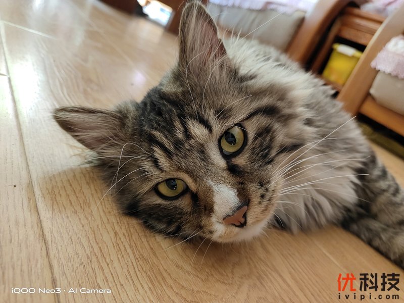 生而为赢 青年旗舰 iQOO Neo3优科技体验评测