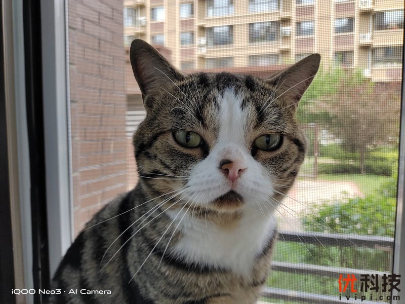 生而为赢 青年旗舰 iQOO Neo3优科技体验评测