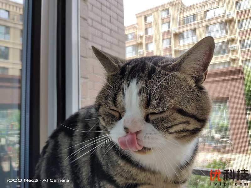 生而为赢 青年旗舰 iQOO Neo3优科技体验评测