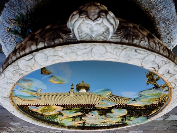 1200万像素还能否一战 iPhone 13 Pro Max影像试用