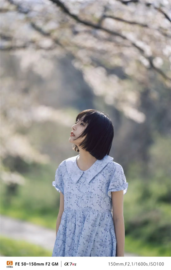 2.9万元！索尼F2大光圈G大师旗舰镜头发布 人像虚化绝了