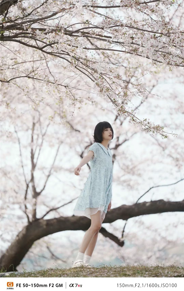 2.9万元！索尼F2大光圈G大师旗舰镜头发布 人像虚化绝了