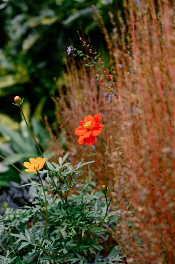 3980元一镜走天下 尼康尼克尔Z 24-105mm f/4-7.1正式开售
